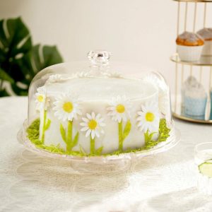 Serving Trays & Bowls |  12″ Clear Acrylic Cake Plate Stand and Dome Lid, Multipurpose Serving Dish